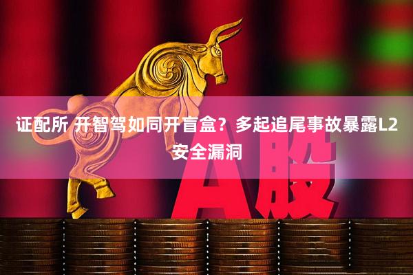 证配所 开智驾如同开盲盒？多起追尾事故暴露L2安全漏洞