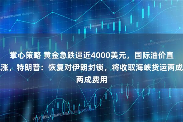 掌心策略 黄金急跌逼近4000美元，国际油价直线飙涨，特朗普：恢复对伊朗封锁，将收取海峡货运两成费用